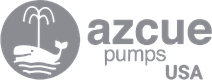 Azcue Pumps