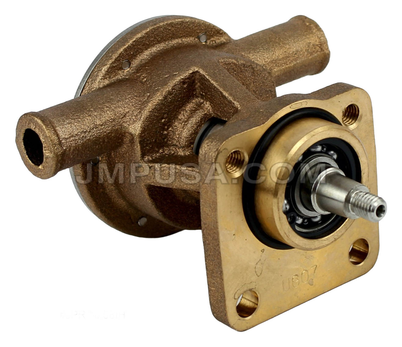 Gen Set Cooling Pumps